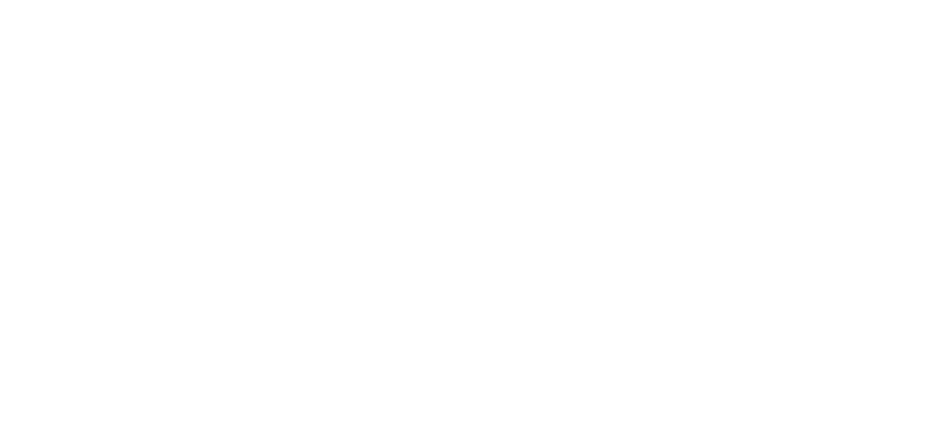 Logo of Nordic Edge, Founding Partner of Ignite Nordic in Norway